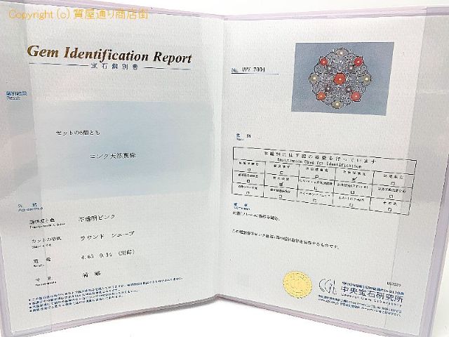 K18WG 18金ホワイトゴールド コンクパール アコヤパール ペンブローチ ペンダント チャーム 鑑別書付 【 TM2012013 】のオプション紹介画像(5) K18WG 18金ホワイトゴールド コンクパール アコヤパール ペンブローチ ペンダント チャーム 鑑別書付 【 TM2012013 】のオプション紹介画像(5)