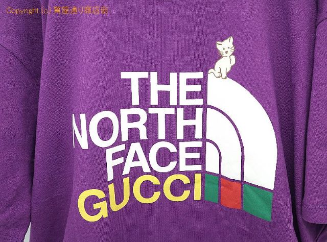 グッチ GUCCI x THE NORTH FACE グッチ x ノースフェイス コラボ Tシャツ 【 TM2201107 】のオプション紹介画像(1)